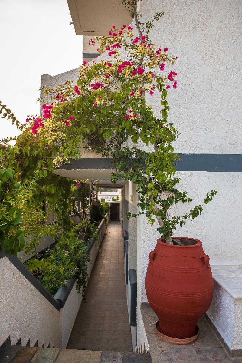 Fevro Hotel Agia Galini Exteriör bild