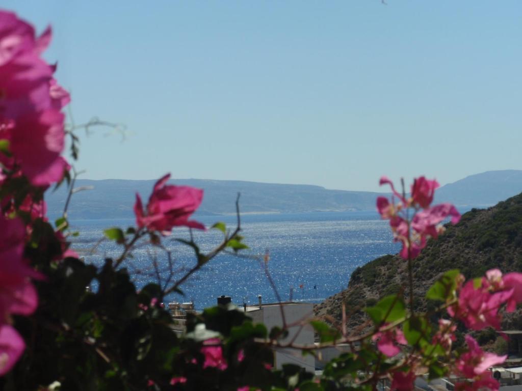 Fevro Hotel Agia Galini Rum bild