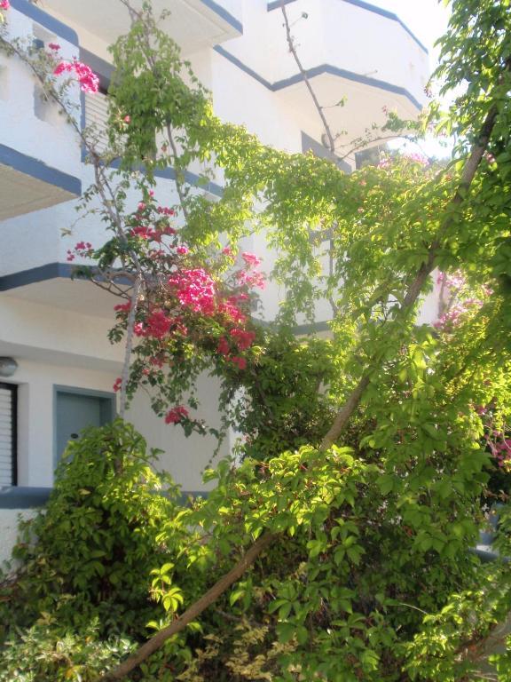 Fevro Hotel Agia Galini Rum bild