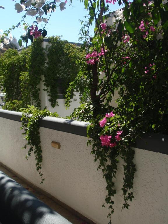Fevro Hotel Agia Galini Rum bild