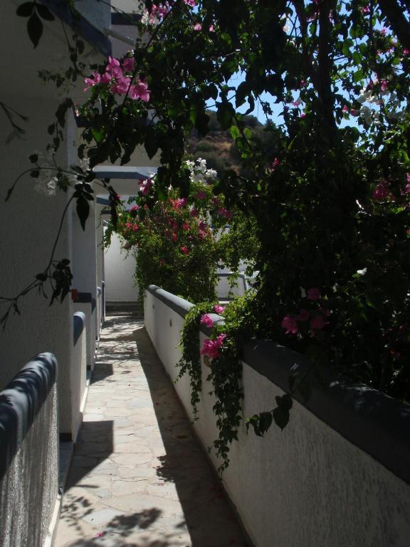 Fevro Hotel Agia Galini Rum bild